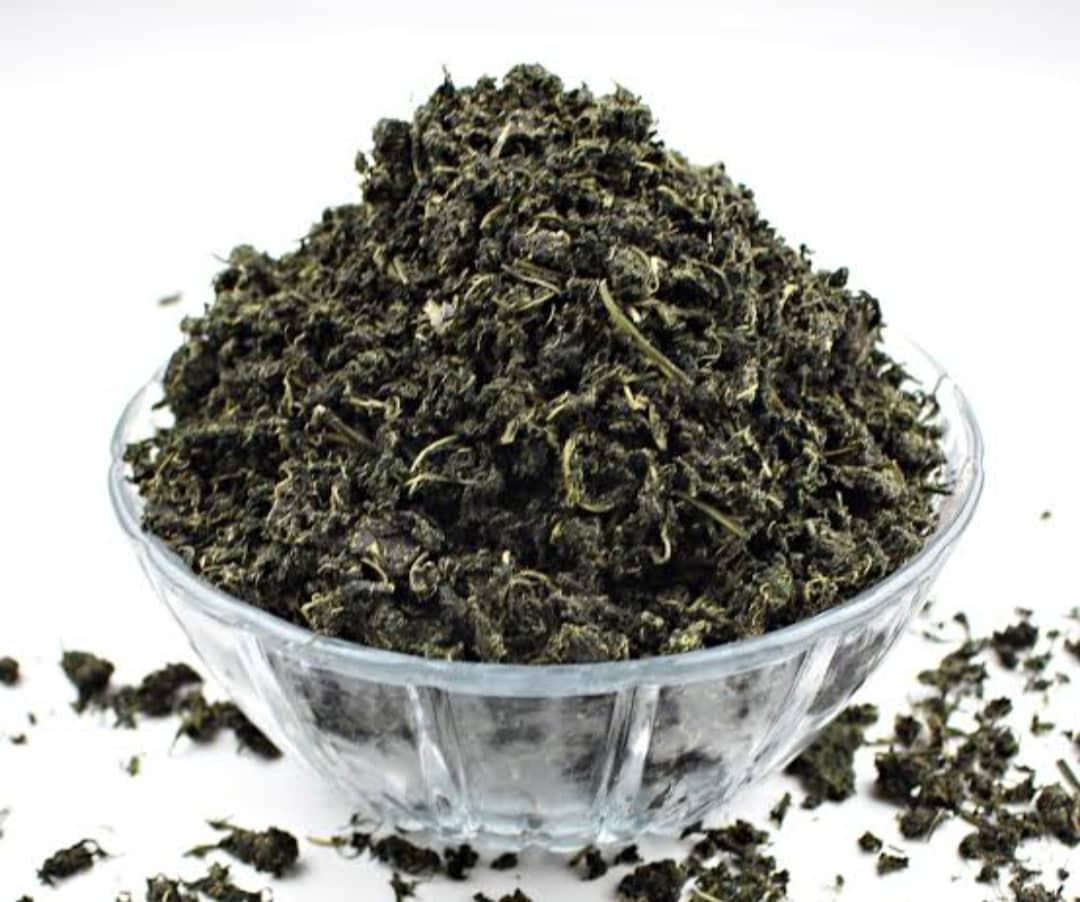 WhatsApp Image 2024-05-19 at 15.07.36